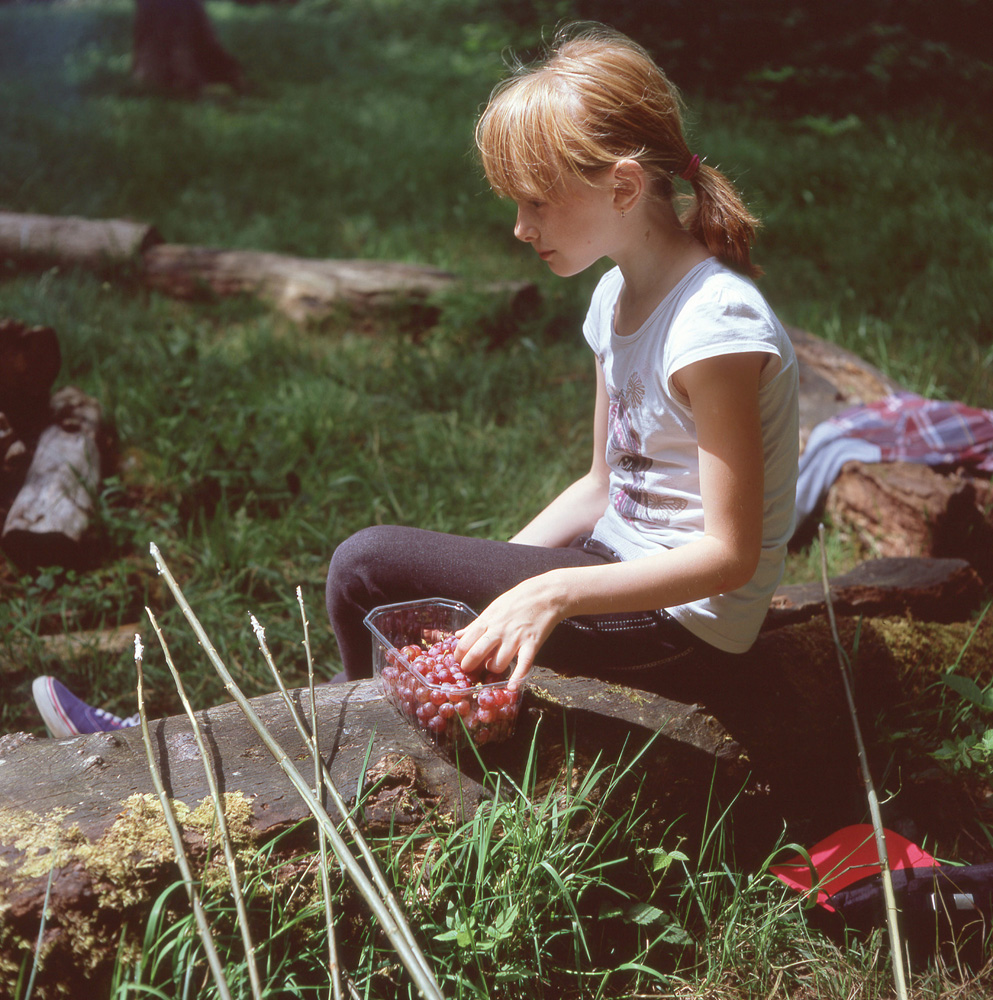 The Healing Land: recovering from Chernobyl